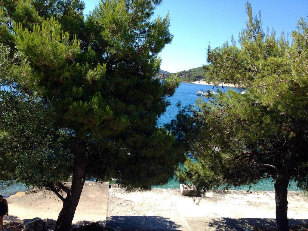 Apartments Rukavina Rogoznica  Δωμάτιο φωτογραφία