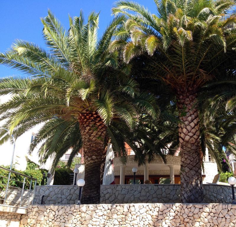 Apartments Rukavina Rogoznica  Δωμάτιο φωτογραφία